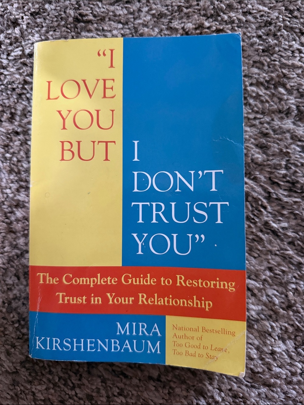 I Love You But I Don't Trust You Book